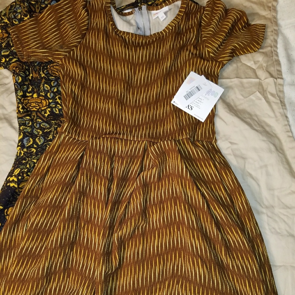 Bnwt xs lularoe amelia